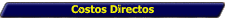 Costos Directos