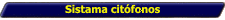 Sistama citófonos
